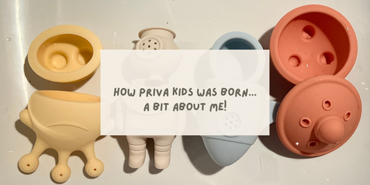 How Priva Kids Was Born!