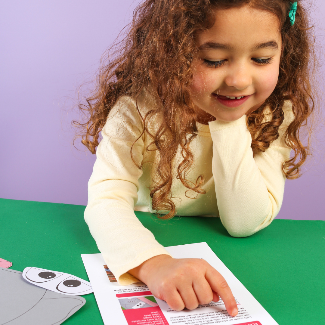 Safari Activity Kit