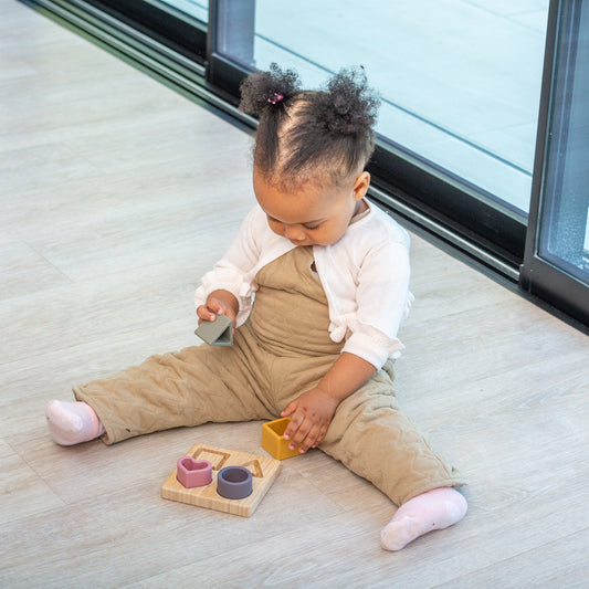 SiliSoft® Shape Puzzle (Earth)