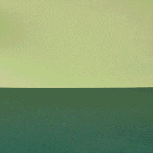 Farmyard Animals Shelf Set