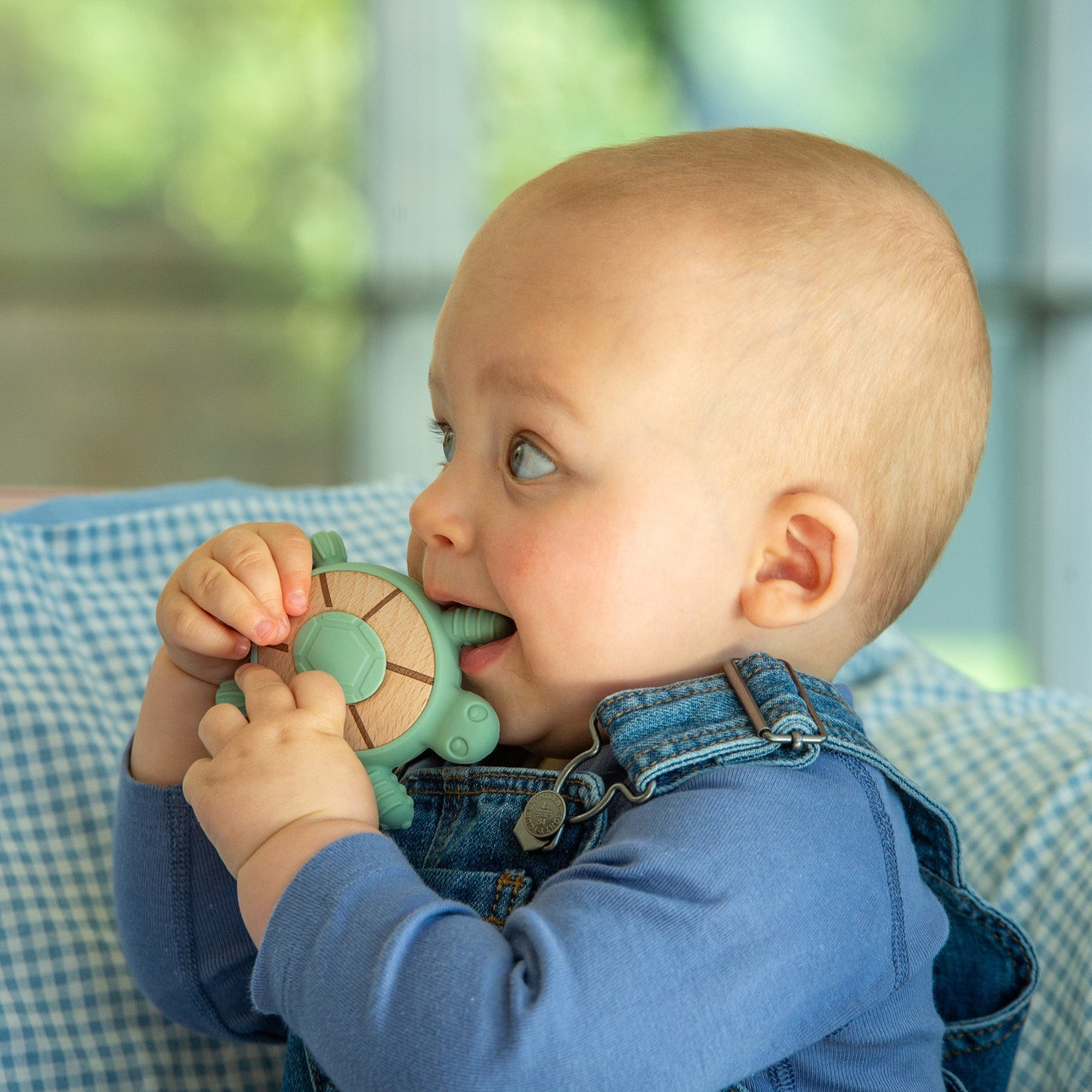 SiliSoft® Turtle Teether