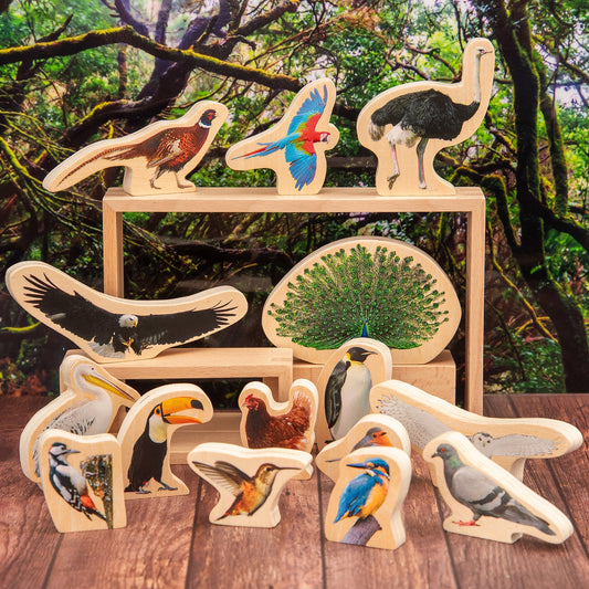 Wooden Bird Blocks