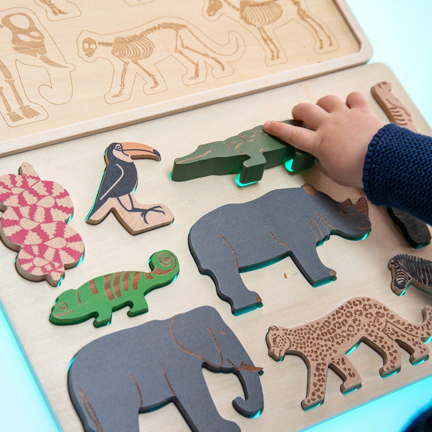 Safari Animal Layer Puzzle