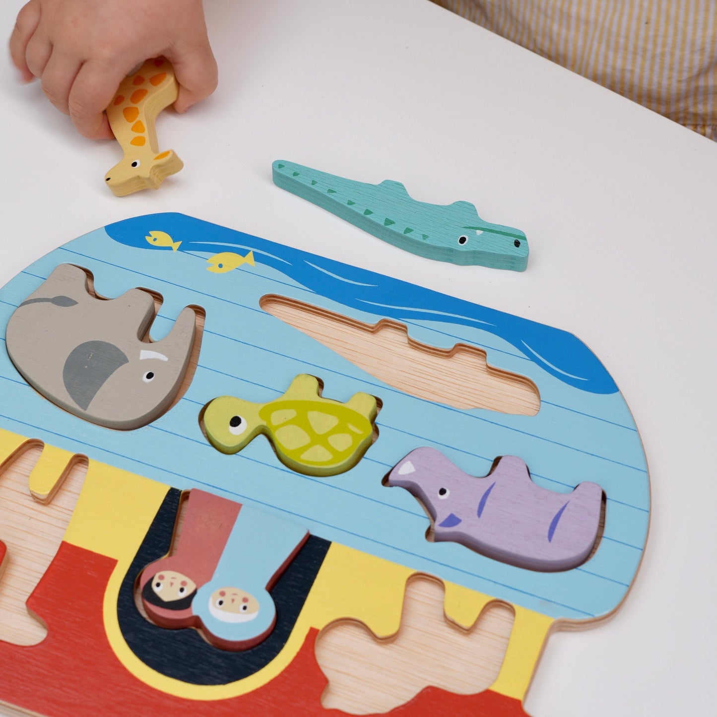 Shape Sorting Ark Tray